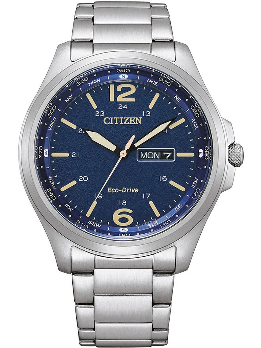 Citizen eco drive discount day date watch